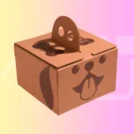 cake boxes