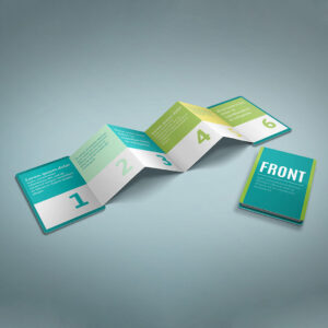 6 Panel Mega Brochures