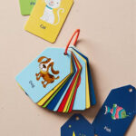 Flashcards