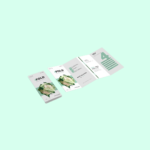 tri fold cover brochure
